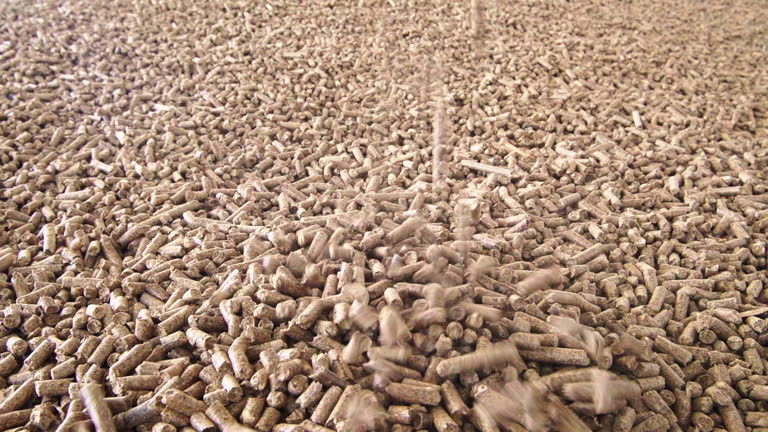 Công ty cung cấp viên gỗ nén uy tín