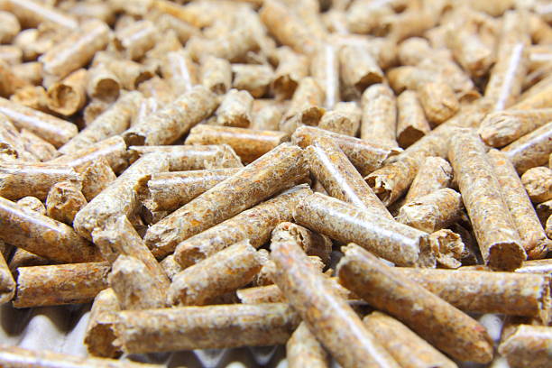 Nên chọn mua viên nén gỗ như thế nào