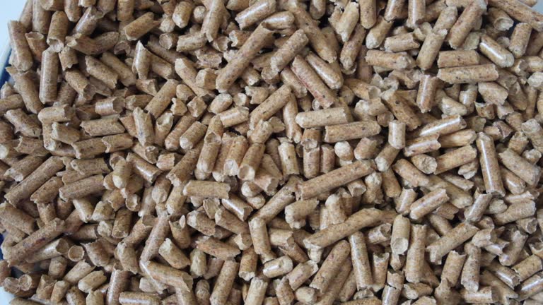 Nhu cầu sử dụng viên gỗ nén trong thực tế