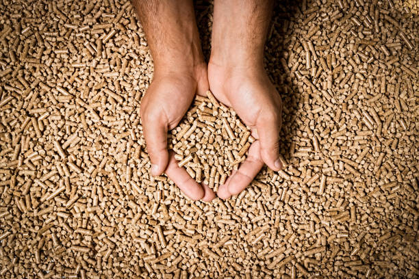 Tìm hiểu sơ bộ về viên nén gỗ