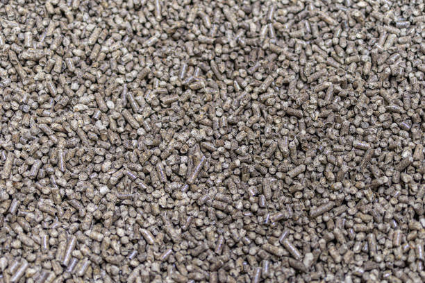 Tổng quan về viên nén gỗ