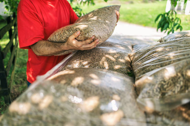 Ứng dụng của viên gỗ nén trong thực tế