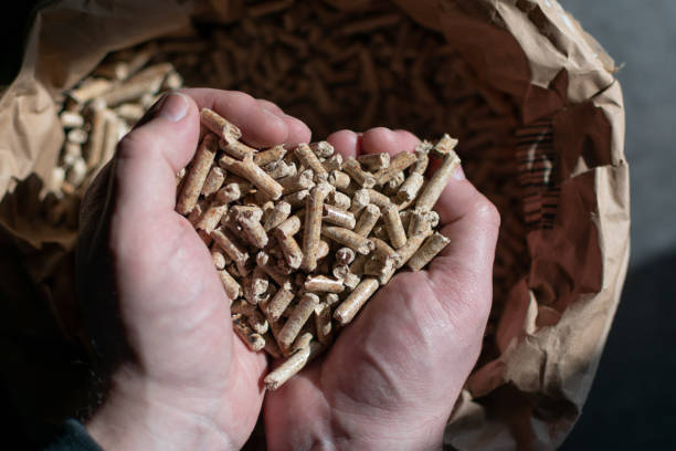 Viên gỗ nén là gì