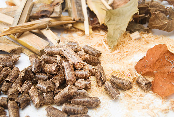 Viên nén gỗ là gì Lợi ích khi sử dụng