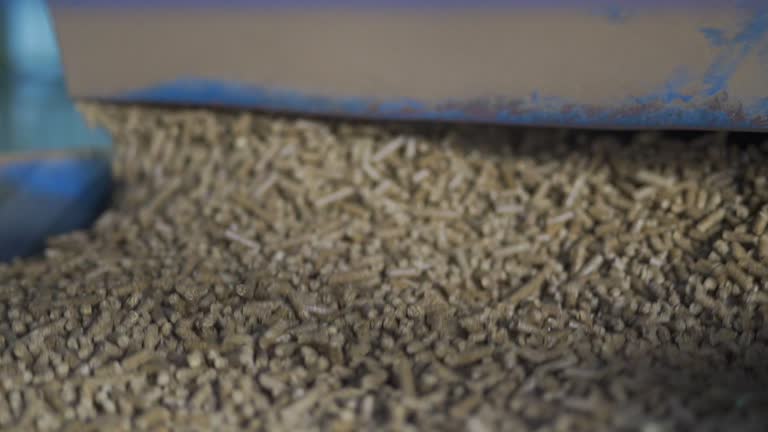 Viên nén mùn cưa là gì