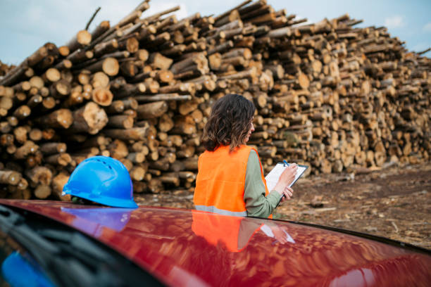 So sánh viên nén mùn cưa với các nguyên liệu khác