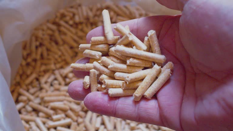 Công ty sản xuất viên nén gỗ uy tín