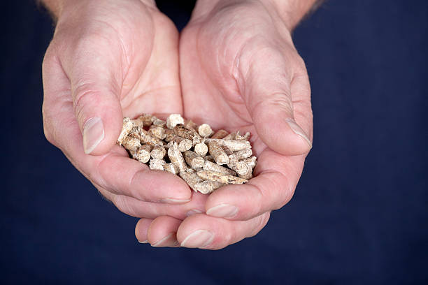 Ứng dụng viên gỗ nén vào nông nghiệp