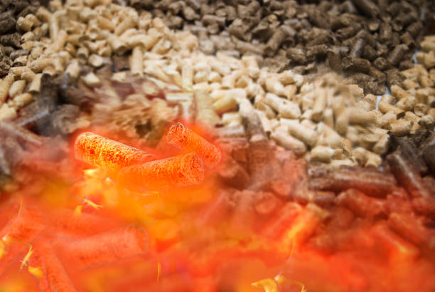 Viên nén gỗ có gì đặc biệt