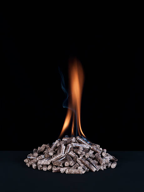 Tìm hiểu về viên gỗ nén