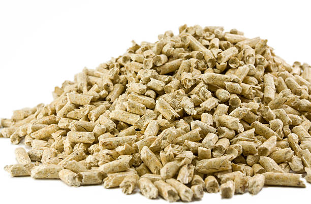 Khám phá sự thật về viên nén gỗ