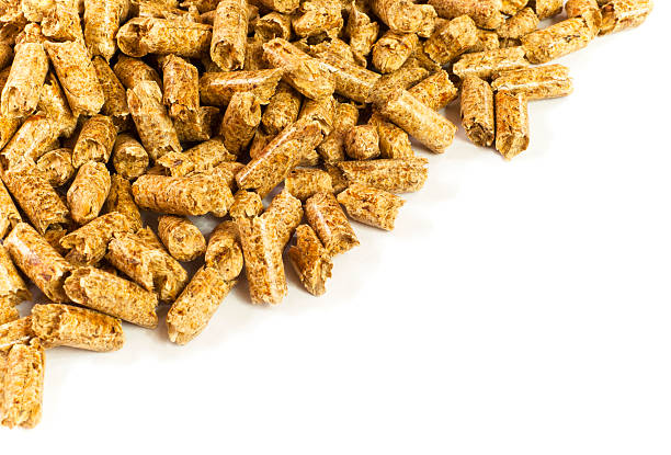 Những hiểu biết sơ lược về viên nén mùn cưa