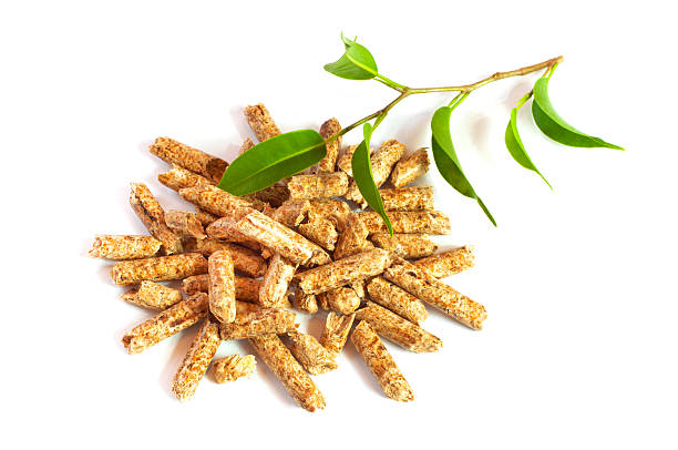 Tìm hiểu sơ bộ về viên nén gỗ và tác dụng của viên nén mùn cưa