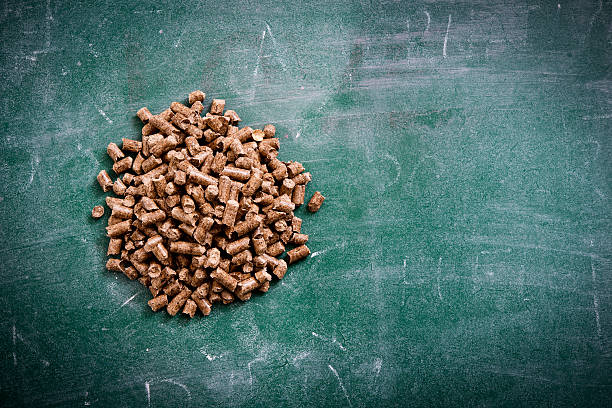 Hướng dẫn bảo quản viên gỗ nén đúng cách