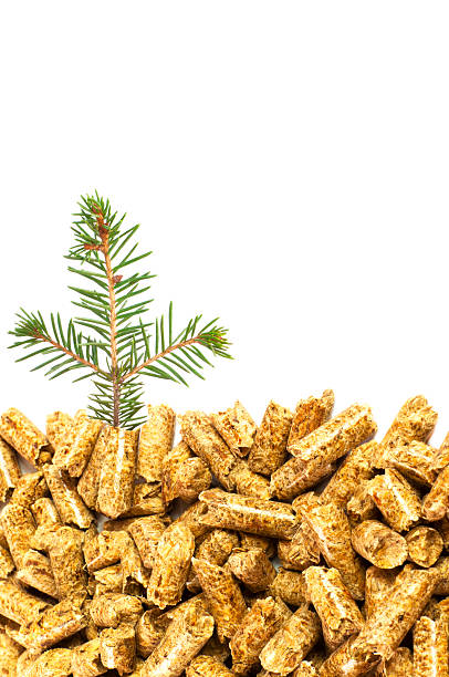 Cách sử dụng viên nén gỗ đúng cách