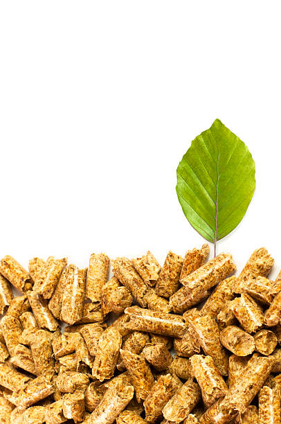 Giải đáp một số hiểu lầm về viên nén gỗ dùng để làm gì