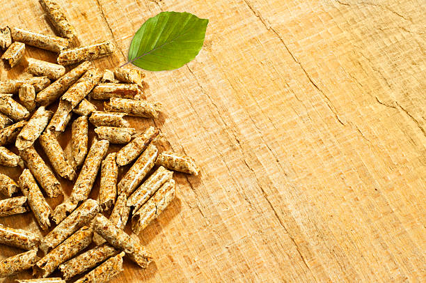 Những lợi ích khi sử dụng viên nén gỗ