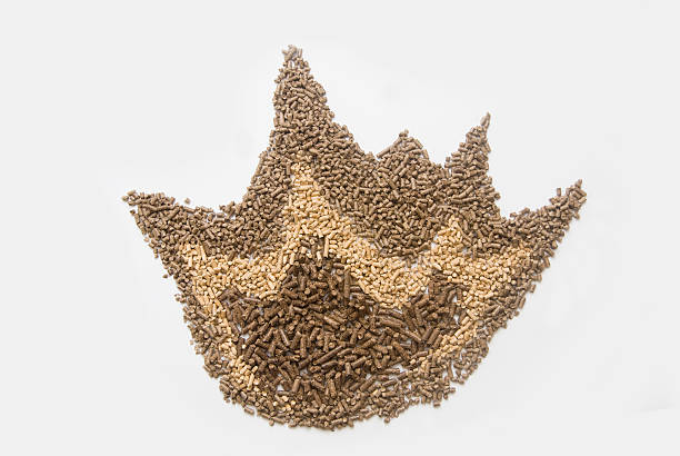 Cách làm chất hút ẩm tự nhiên về viên nén gỗ