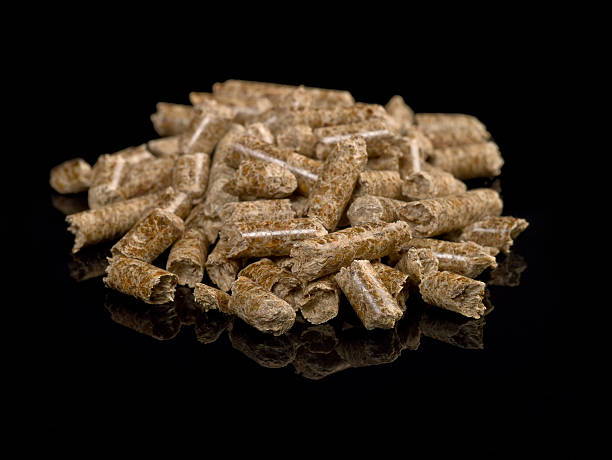 Tiềm năng xuất khẩu viên gỗ nén