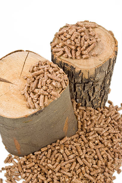 Ứng dụng của tro đốt viên nén gỗ trong trồng cây